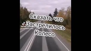 жиза