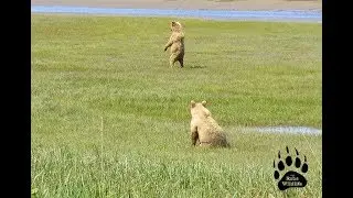 Lake Clark Twins