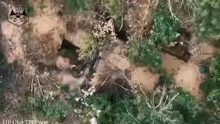 Удари по окупантах у лісосмузі та ворожих окопах
