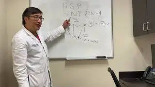 Horizontal gaze palsy vs. abducens nerve palsy