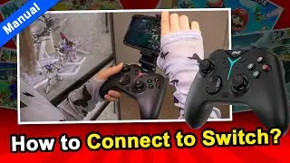 How to Connect to Switch for IINE Sirius Controller?🎮