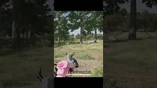 Playerunknown's battlegrounds 