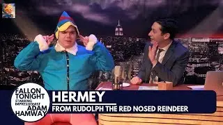 Hermey Interview Fallon Tonight