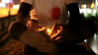 Дельфин "Душа"