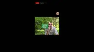донаты блогерам? да вы гоните!!!