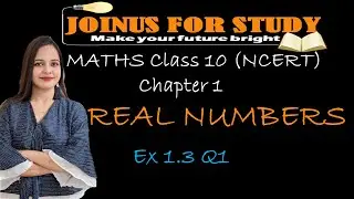 Maths Class 10 Ex 1.3 Q1 Chapter 1 (Real Numbers) NCERT CBSE