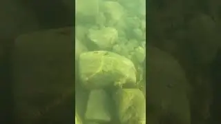 27 сентября 2023 г.