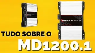 IS THE TARAMPS MD1200.1 MODULE GOOD? Review