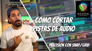 Como Cortar Pistas de Audio | Cambiar el Snap & Grid | Tutorial Reaper | Stu Ureta
