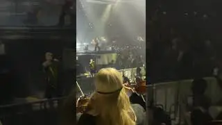 Bad Bunny Performance