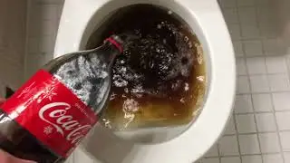 Will it Flush? - Coca Cola