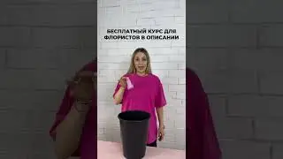 бесплатный курс в комментариях #флорист #флористика