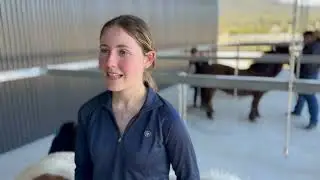 Equine Academy