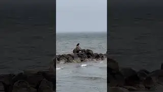 Even nature rests