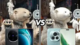 Honor Magic 6 Pro vs Vivo X100 Pro: Camera comparison