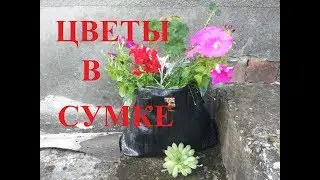 Кашпо для цветов из старой сумки/НА Даче