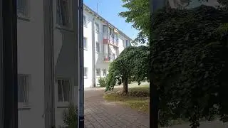 🏠♿️Что  выбрать, если   у больного  ДЕМЕНЦИЕЙ-АГРЕССИЯ!!!