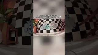 Justin Bieber the Funny Talking Cat Kicks Out Mom’s Boyfriend!