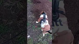 Walking My Dog! Join Me 😎 || Have a Great Day