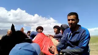 KO'PKARI ISHQIBOZLARI UCHUN MAXSUS VIDIO 🐎🐫🐂