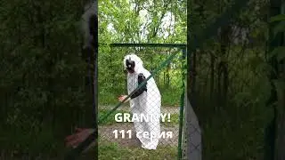 GRANNY! (111 серия) 