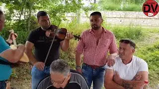 FITMIJA I SPASOJE - Moja mala crnu macu ima