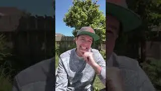 Breaking DEA scheduling cannabis news details and context