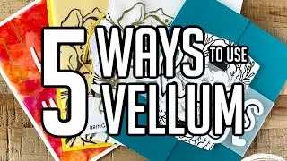 5 DIFFERENT WAYS TO USE VELLUM