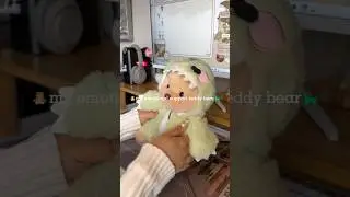 🧸 my emotional support teddy bear #unboxing #aesthetic #kawaii #shorts