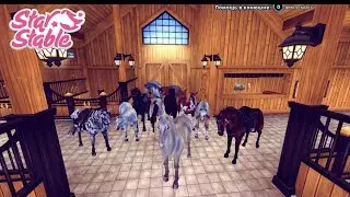 Обновления _ ФОТКИ?_ # Star Stable#