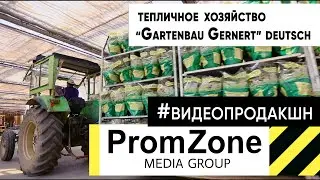 Корпоративный ролик Аграрной компании #агробизнес