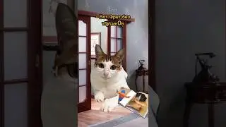 Альбом удивил собаку😱 Пародия на @Danya_rodnoy 