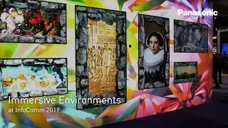 Immersive Environments Reshape the Visitor Experience