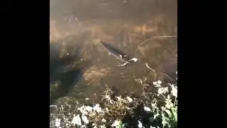 Fishing unique 🐟 Amazing Fishing 🔴 | 
