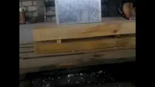 Шашель как уничтожить