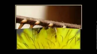 Haşim Tekneci Fotoğraf Gösterisi