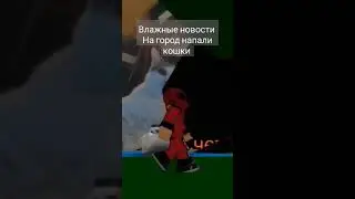 на город напали кошки #влажныеновости
