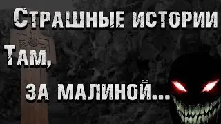 Страшные истории. Там, за малиной. Страшилки на ночь.
