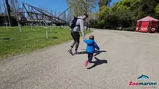 Vertigo