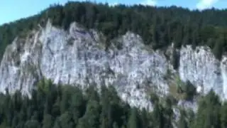 apuseni: muntii bihorului: zona padis
