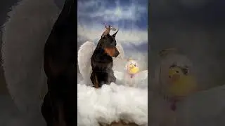 Cherry Pushed Storm Down the Slide… Then Karma Hit 🦆