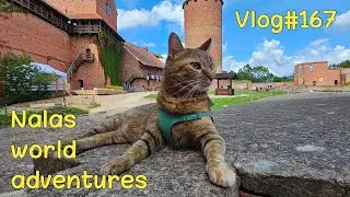 Nala walking around Turaida Castle 🏰 Vlog #167