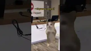 Сервисный центр 