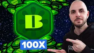 Everything you need to know about Borpa