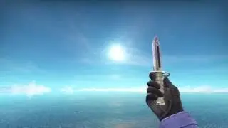 Bayonet Blue Steel I Showcase
