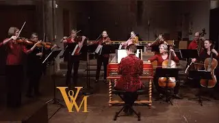Bach: Brandenburg Concerto No. 3 in G Major BWV 1048, complete, Voices of Music 4K UHD video