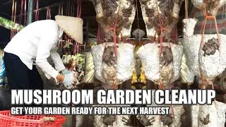 Mushroom Garden Cleanup Tips: Get Your Garden Ready for the Next Harvest