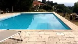 Come bevono le rondini
