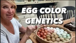 CREATE YOUR OWN RAINBOW EGGS + What is a HEAVY BLOOM