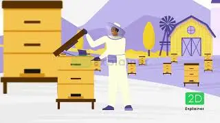 Hibernate Honey |  2D Motion graphic